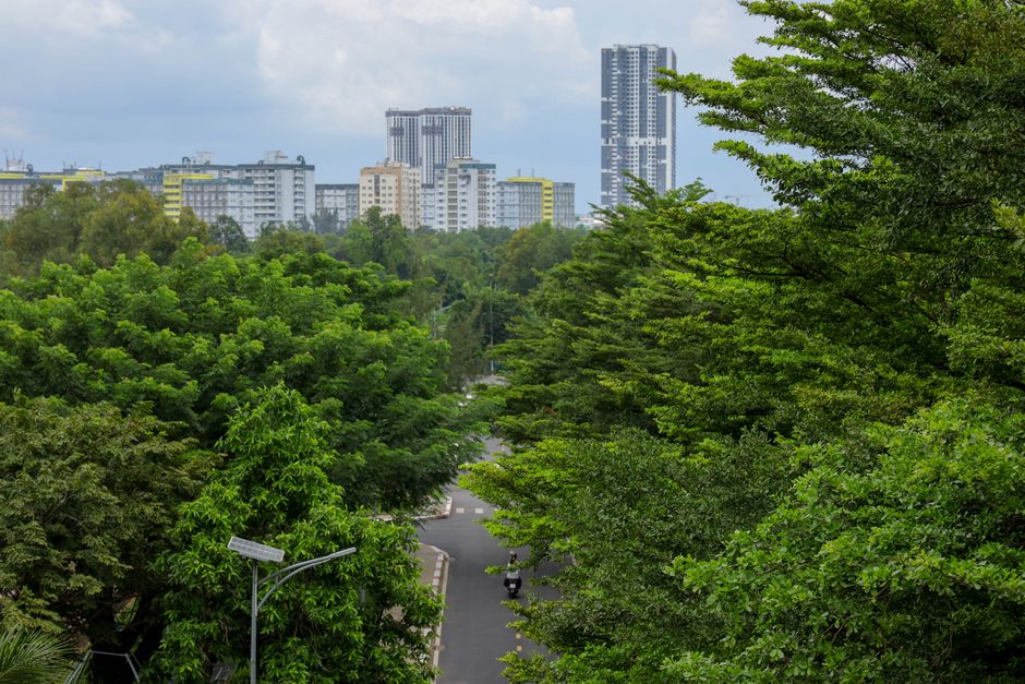 Infraestrutura Verde — View of an urban skyline with lush green trees and a winding road.